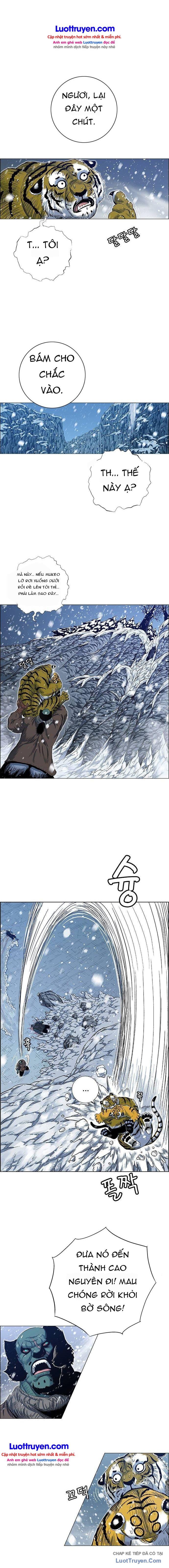 Anh Trai Tôi Là Hổ Chapter 212 - 14