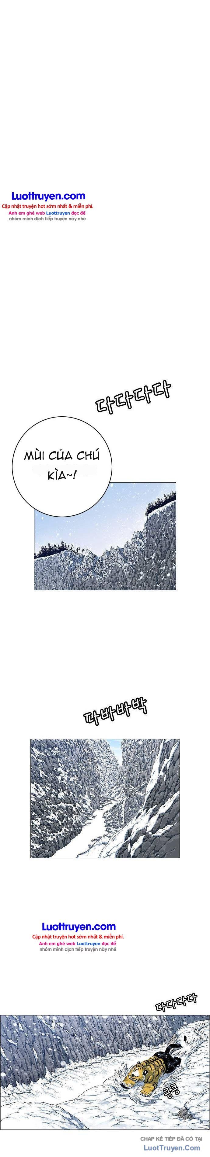 Anh Trai Tôi Là Hổ Chapter 228 - 19