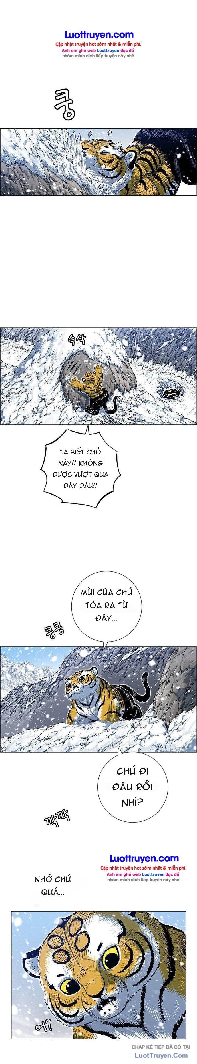 Anh Trai Tôi Là Hổ Chapter 228 - 20