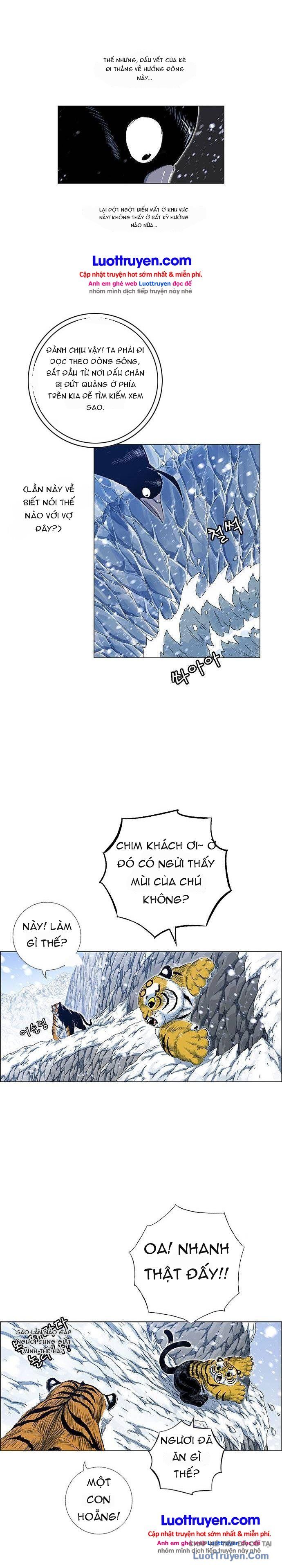 Anh Trai Tôi Là Hổ Chapter 228 - 22