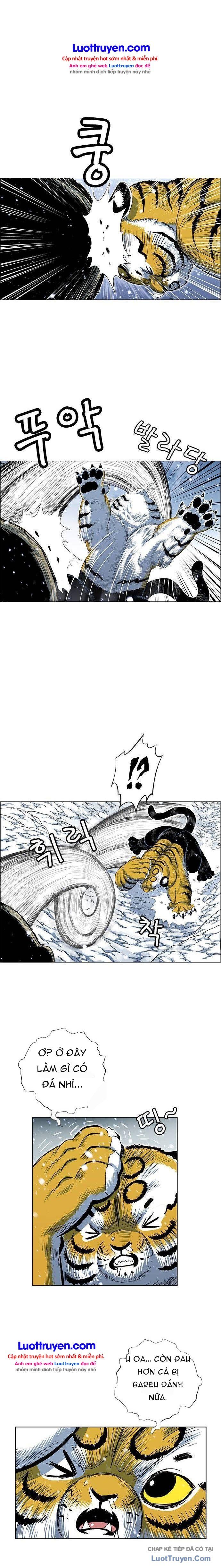 Anh Trai Tôi Là Hổ Chapter 230 - 23
