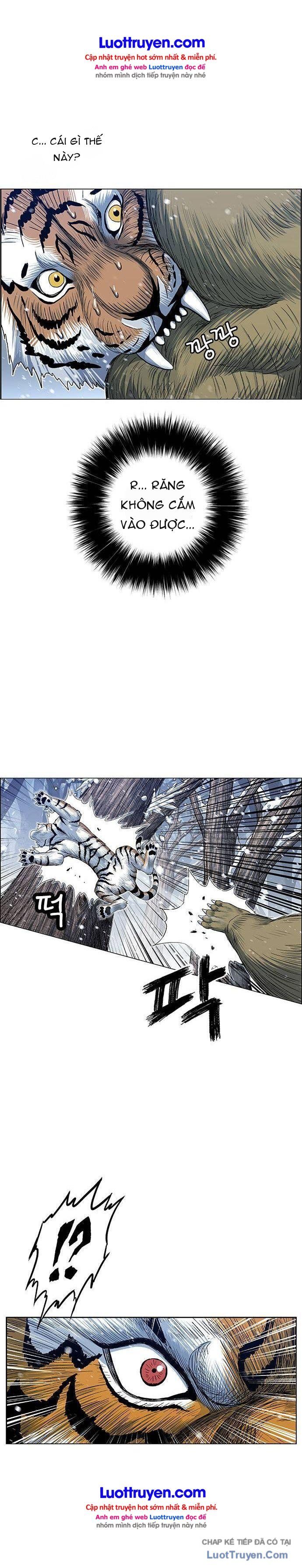 Anh Trai Tôi Là Hổ Chapter 232 - 11