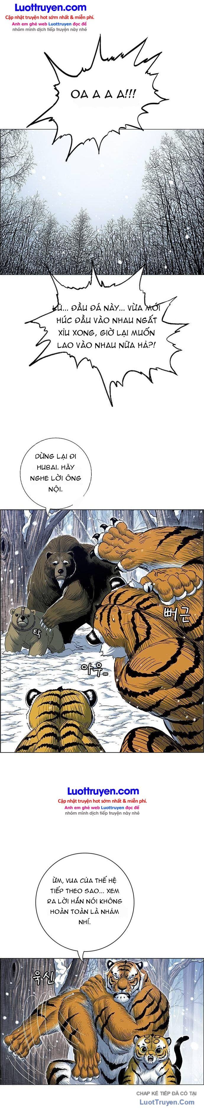 Anh Trai Tôi Là Hổ Chapter 232 - 14