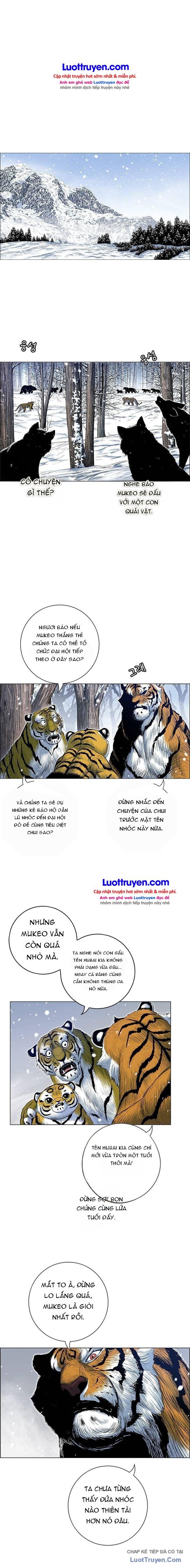 Anh Trai Tôi Là Hổ Chapter 233 - 12