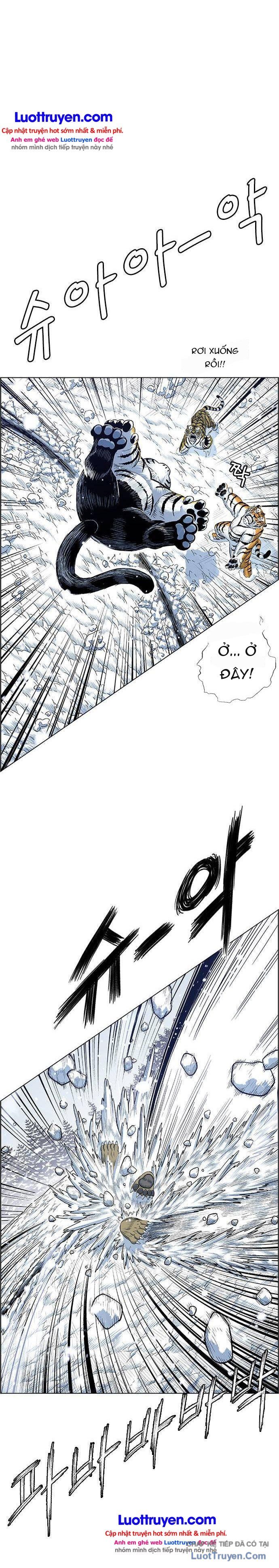 Anh Trai Tôi Là Hổ Chapter 235 - 13