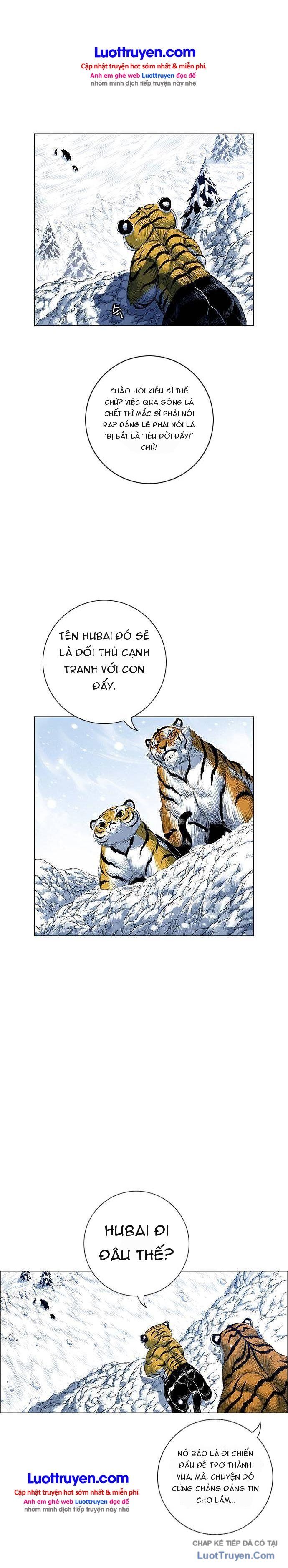 Anh Trai Tôi Là Hổ Chapter 236 - 13