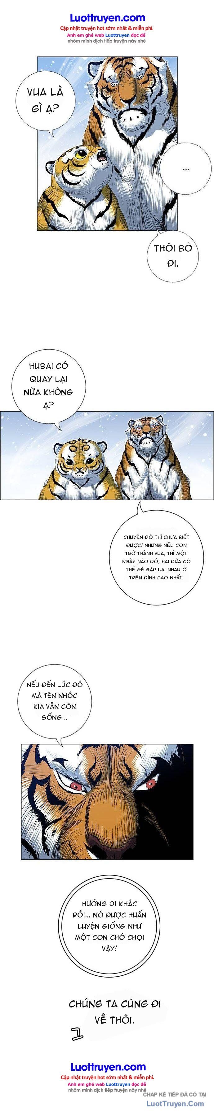 Anh Trai Tôi Là Hổ Chapter 236 - 14
