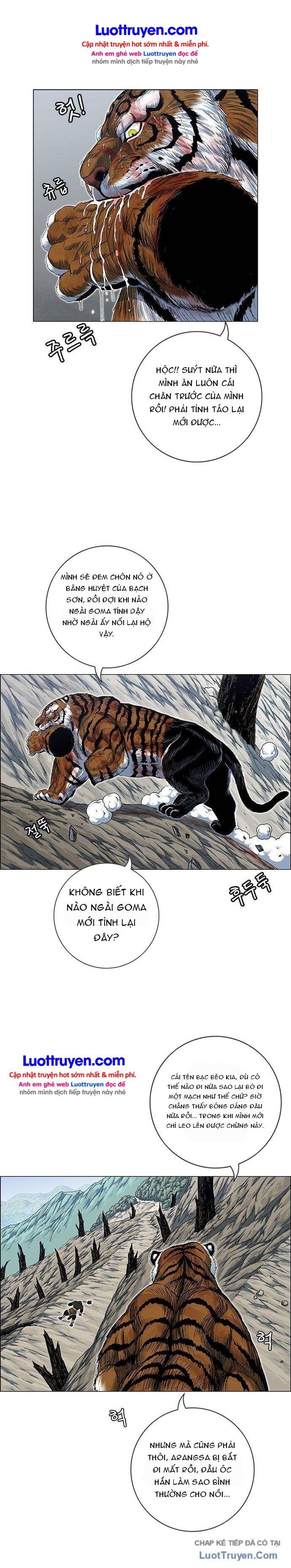 Anh Trai Tôi Là Hổ Chapter 244 - 36