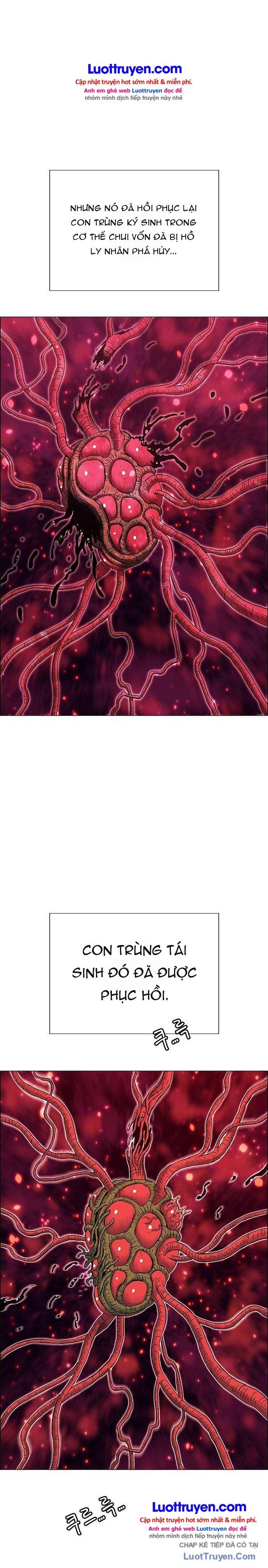 Anh Trai Tôi Là Hổ Chapter 245 - 11