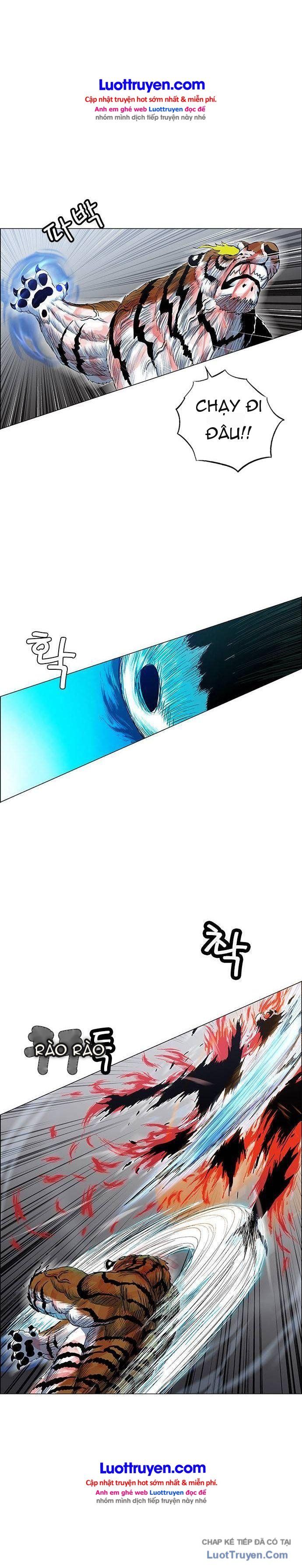 Anh Trai Tôi Là Hổ Chapter 247 - 19