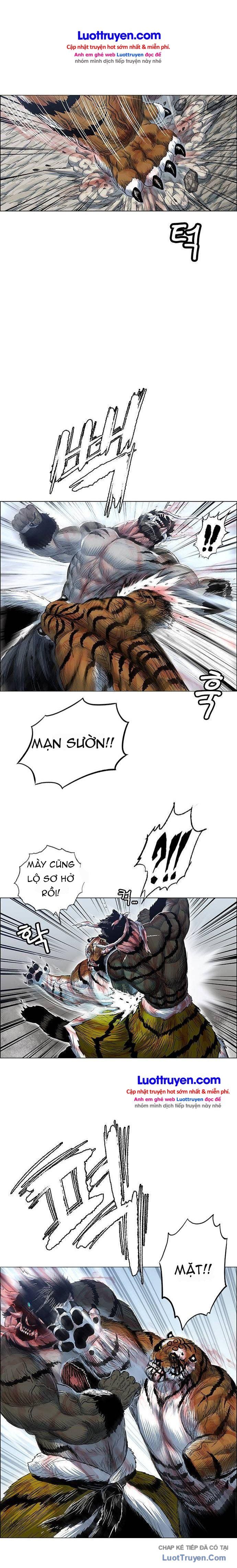 Anh Trai Tôi Là Hổ Chapter 249 - 12
