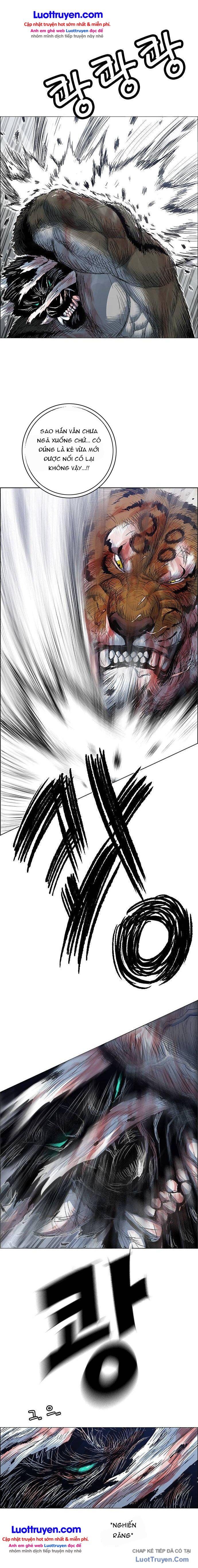 Anh Trai Tôi Là Hổ Chapter 249 - 9