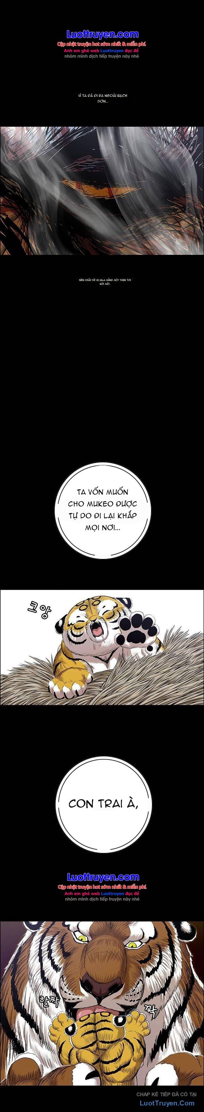 Anh Trai Tôi Là Hổ Chapter 251 - 24