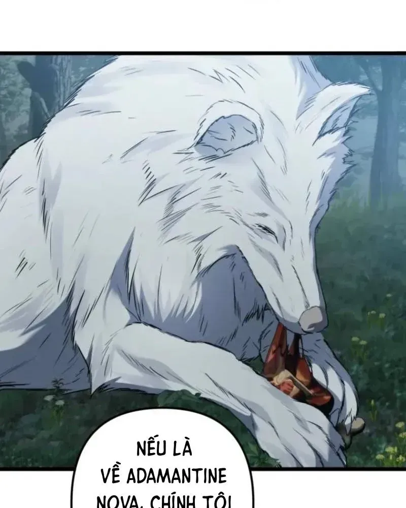 Vua Thăng Cấp Chapter 218 - 118