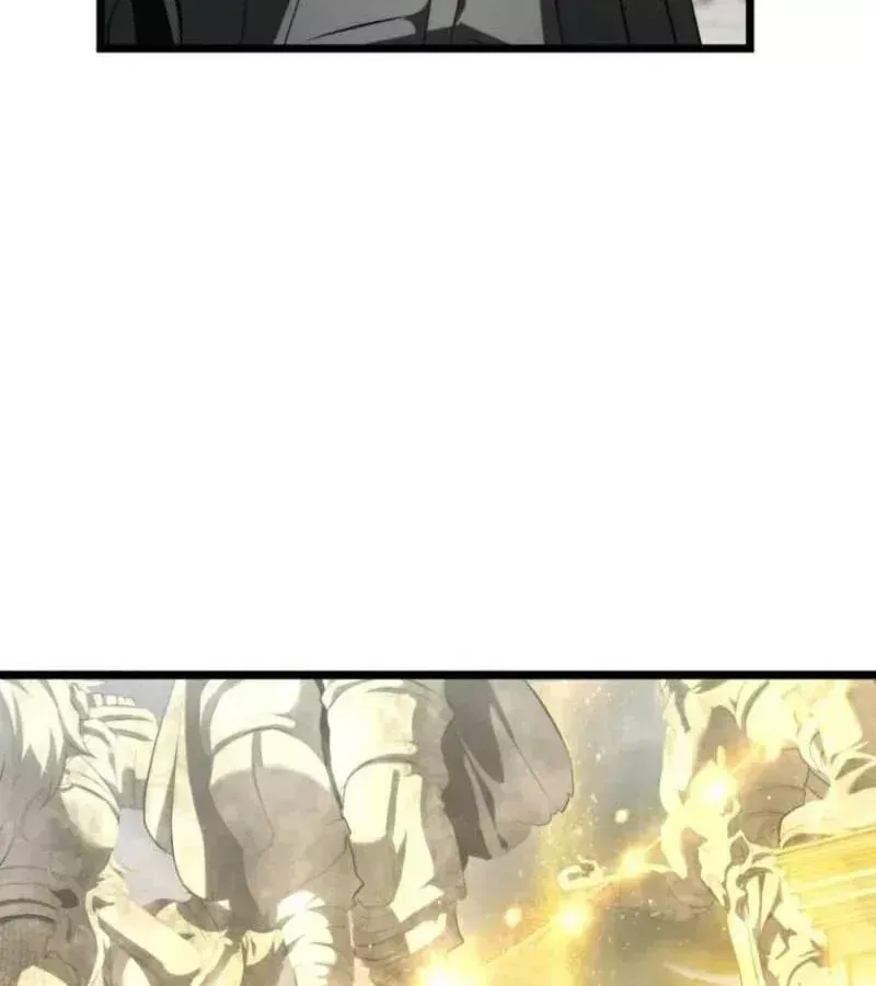 Vua Thăng Cấp Chapter 223 - 88