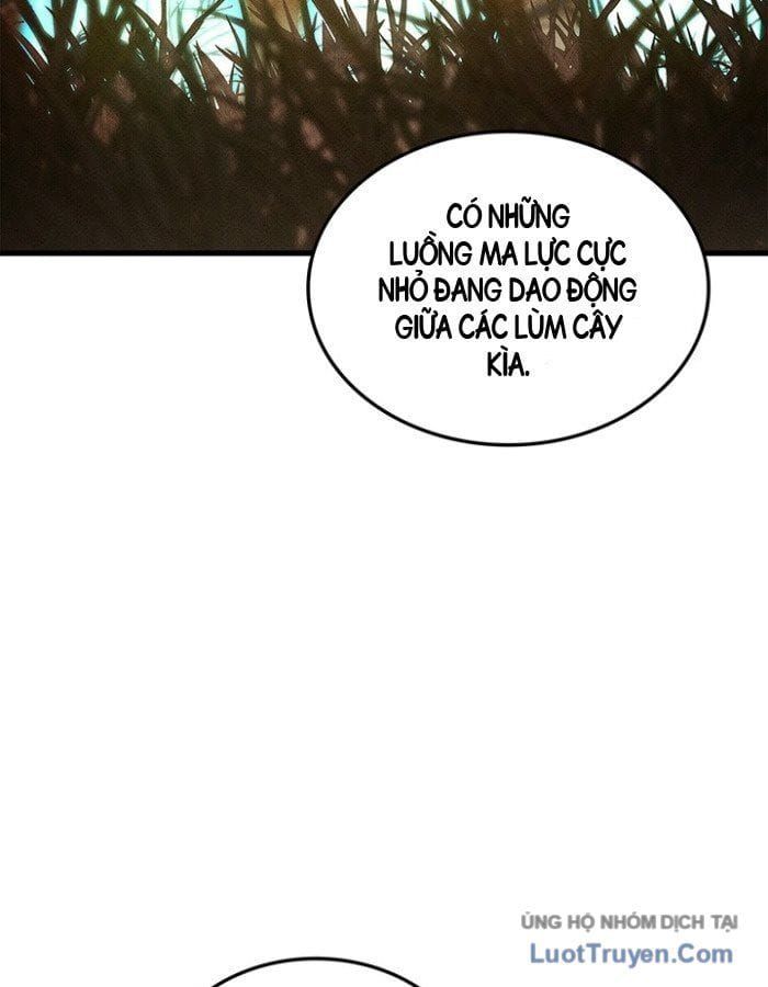 Sự Trở Lại Của Vị Thần Sức Mạnh Chapter 252 - 14