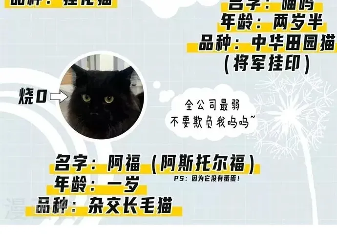 Triệu Hồi Sư Cuối Cùng Chapter 287 - 17