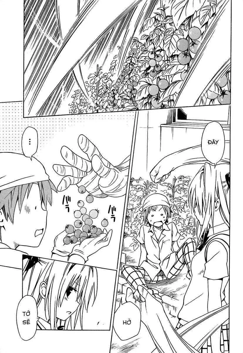 To Love - Ru Darkness Chapter 53.5 - 12