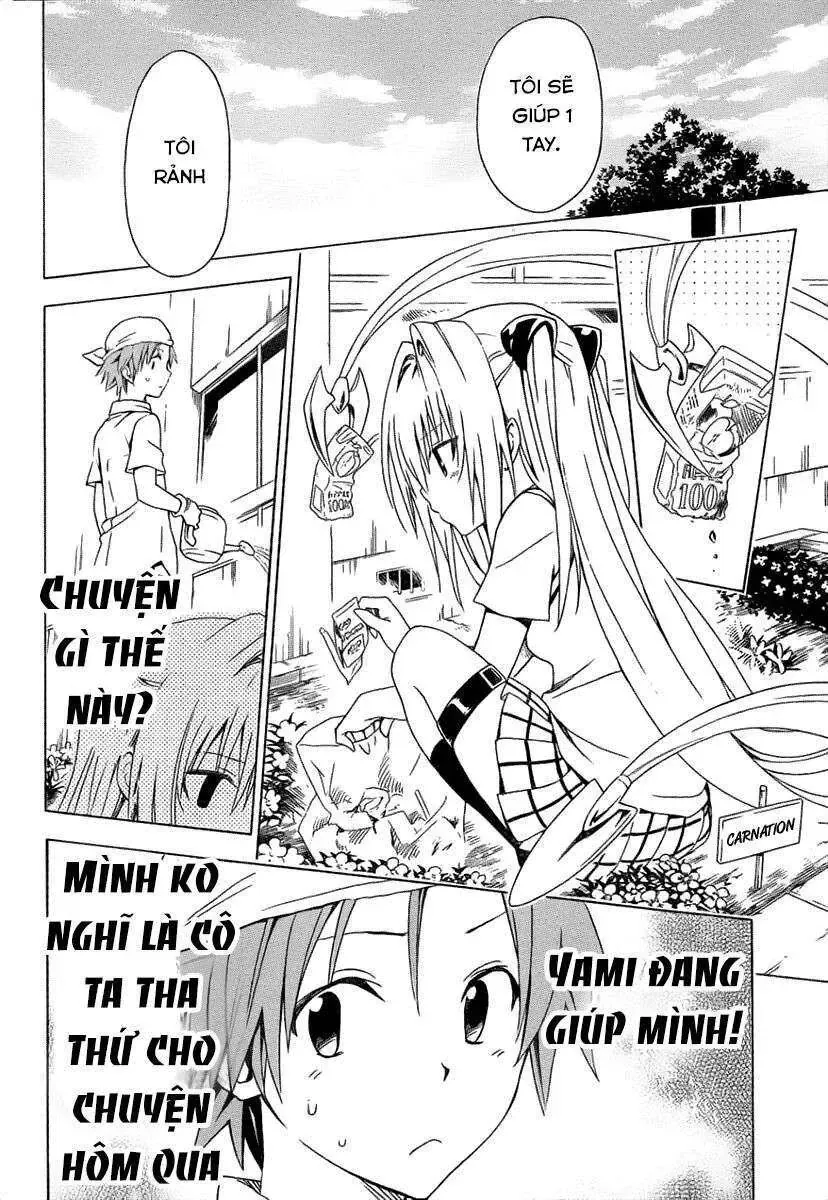 To Love - Ru Darkness Chapter 53.5 - 13
