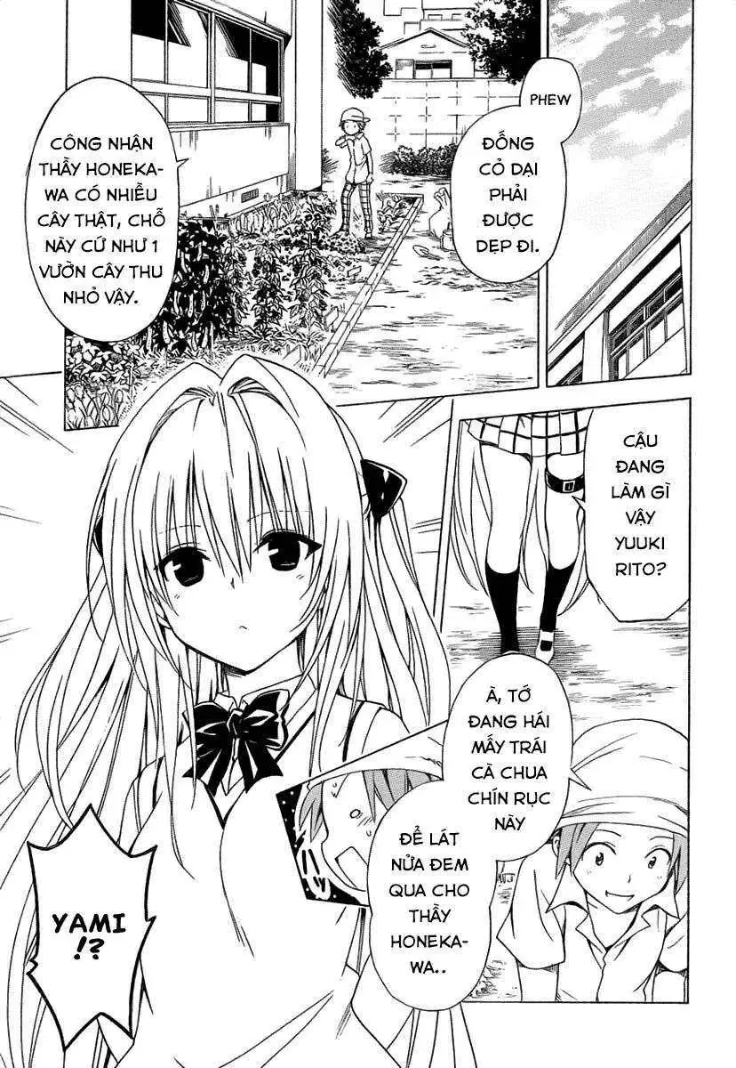 To Love - Ru Darkness Chapter 53.5 - 10