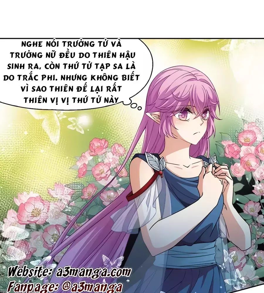 Tầm Trảo Tiền Thế Chi Lữ Chapter 209.3 - 1