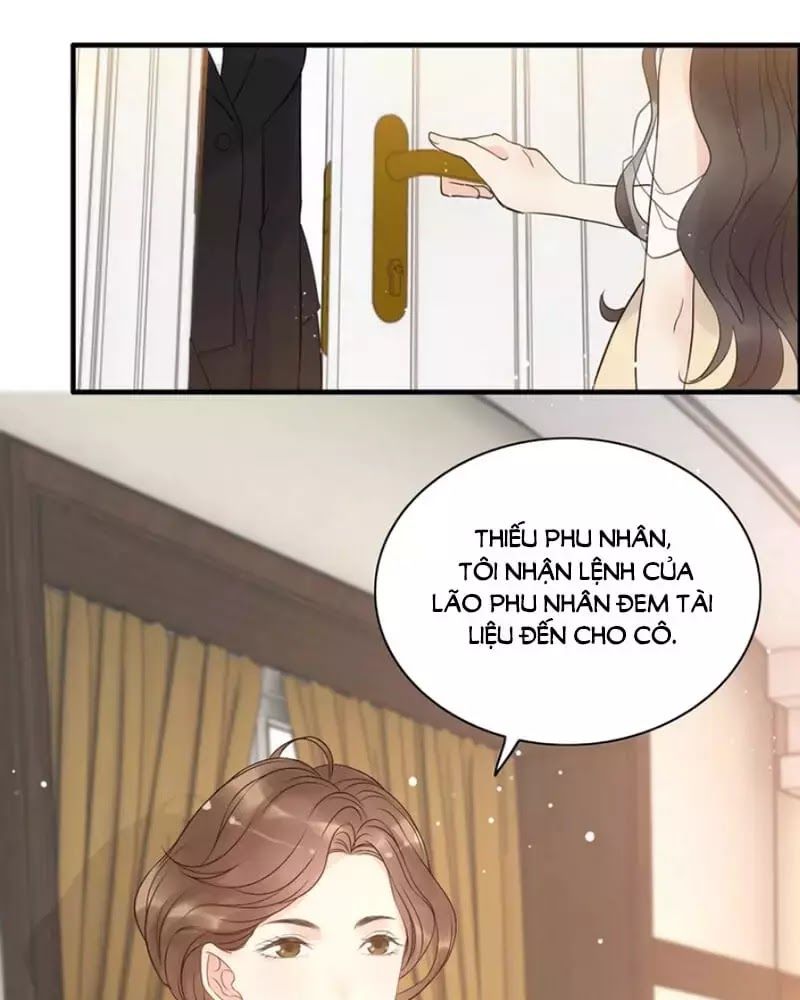Cô Vợ Hợp Đồng Bỏ Trốn Của Tổng Giám Đốc Chapter 215 - 32