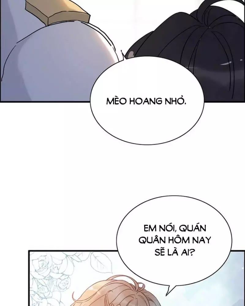 Cô Vợ Hợp Đồng Bỏ Trốn Của Tổng Giám Đốc Chapter 219 - 14
