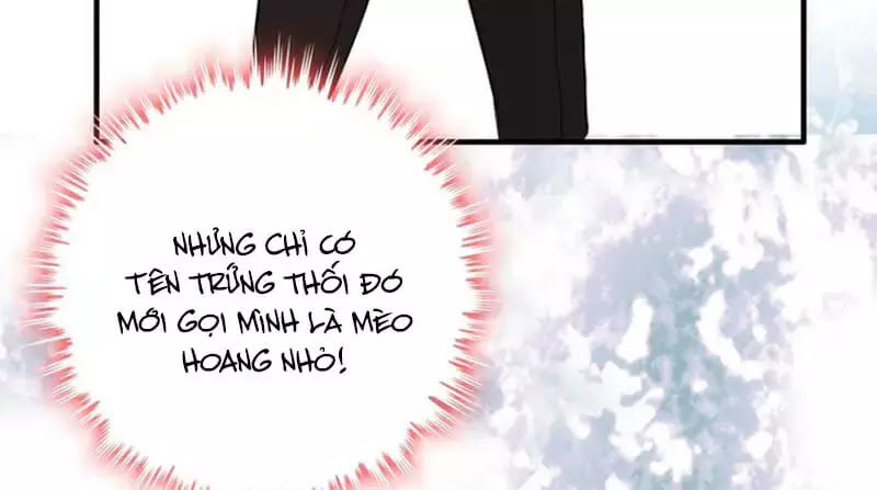 Cô Vợ Hợp Đồng Bỏ Trốn Của Tổng Giám Đốc Chapter 219 - 8