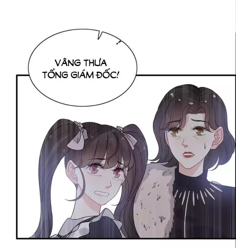 Cô Vợ Hợp Đồng Bỏ Trốn Của Tổng Giám Đốc Chapter 239 - 43