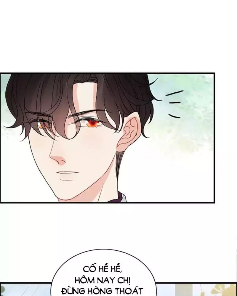 Cô Vợ Hợp Đồng Bỏ Trốn Của Tổng Giám Đốc Chapter 239 - 9