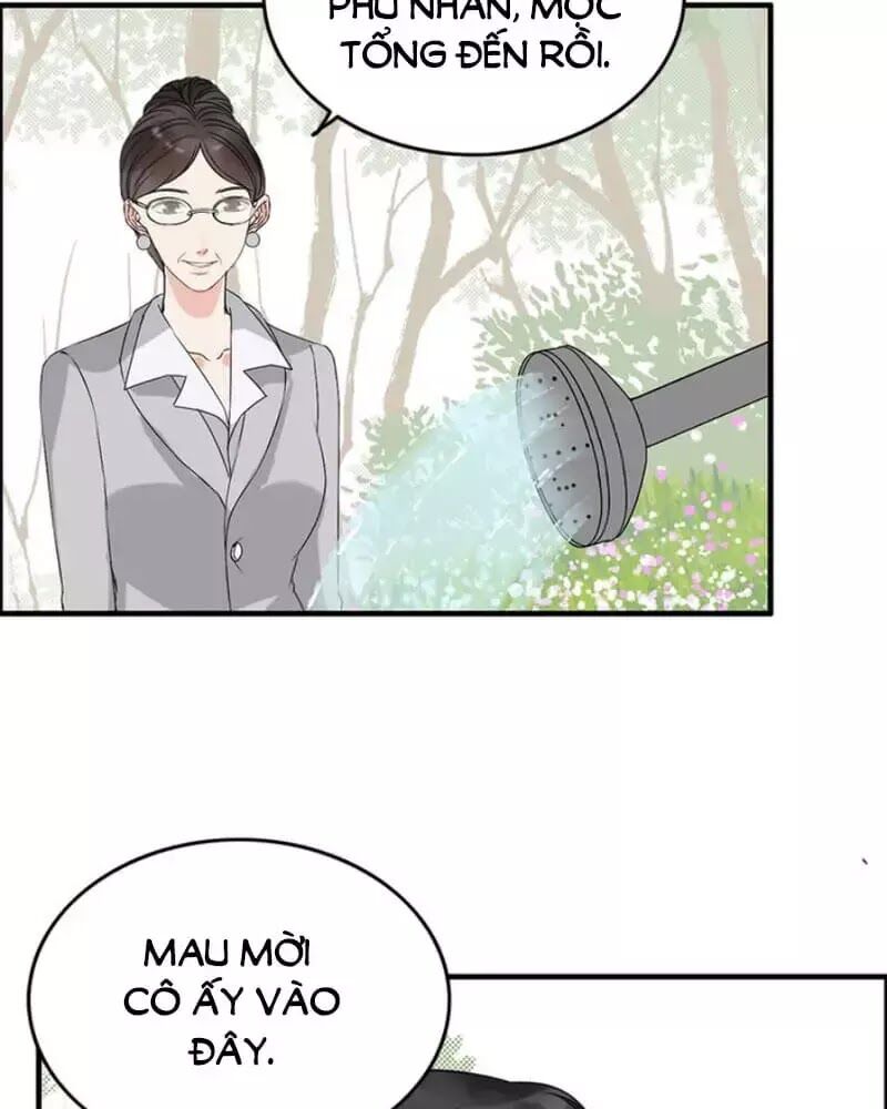 Cô Vợ Hợp Đồng Bỏ Trốn Của Tổng Giám Đốc Chapter 240 - 39