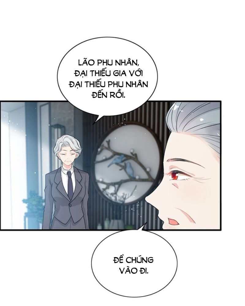 Cô Vợ Hợp Đồng Bỏ Trốn Của Tổng Giám Đốc Chapter 236 - 5