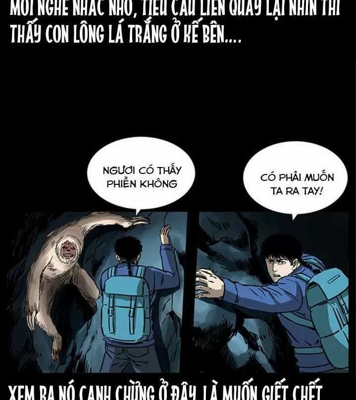U Minh Ngụy Tượng Chapter 271 - 64