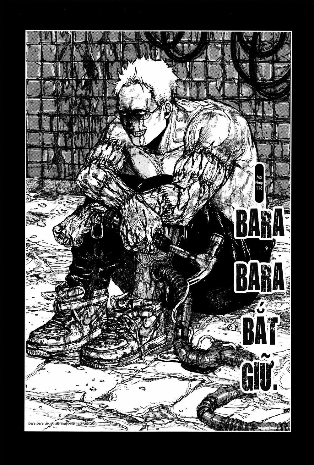 Kẻ Mất Trí Và Thế Giới Ma Thuật Chapter 116 - 3