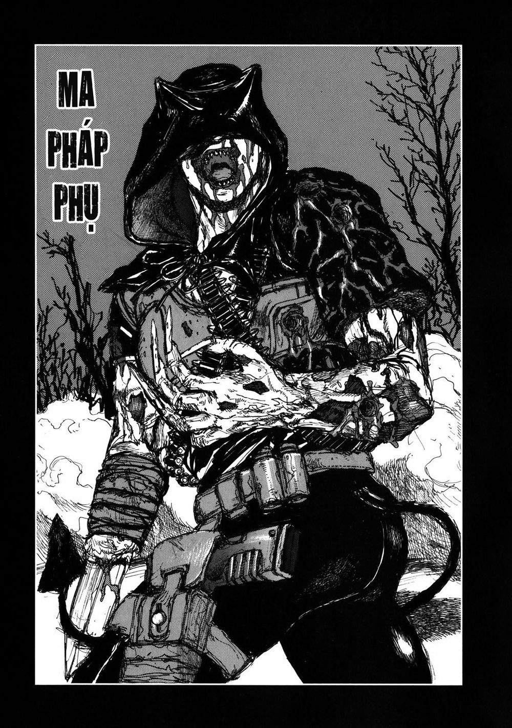 Kẻ Mất Trí Và Thế Giới Ma Thuật Chapter 67.5 - 2