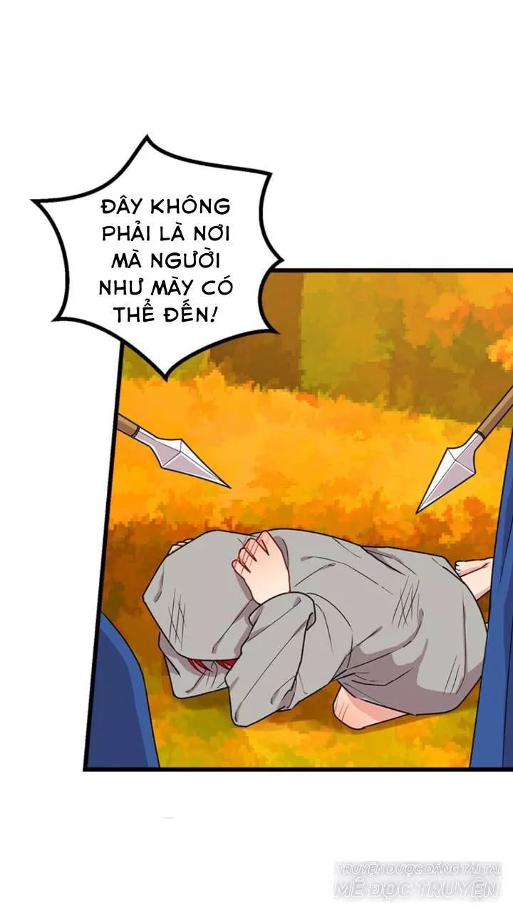 Tôi Là Tiểu Thư Của Gia Đình Này Chapter 60 - 11