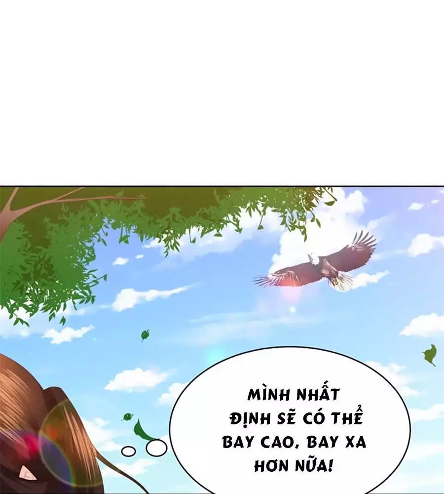 Phượng Hoàng Thác: Chuyên Sủng Khí Thê Chapter 28 - 48