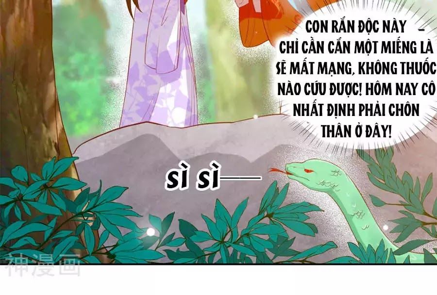 Phượng Hoàng Thác: Chuyên Sủng Khí Thê Chapter 39 - 17