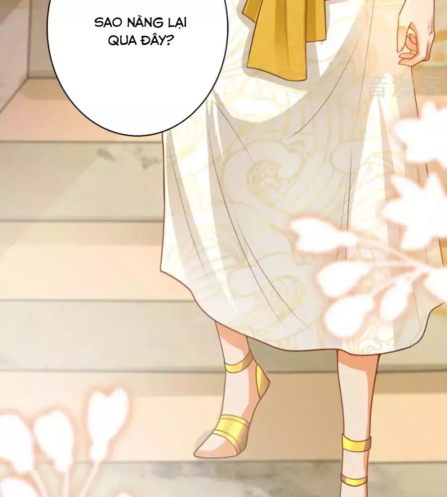 Sủng Hậu Của Vương Chapter 22 - 35