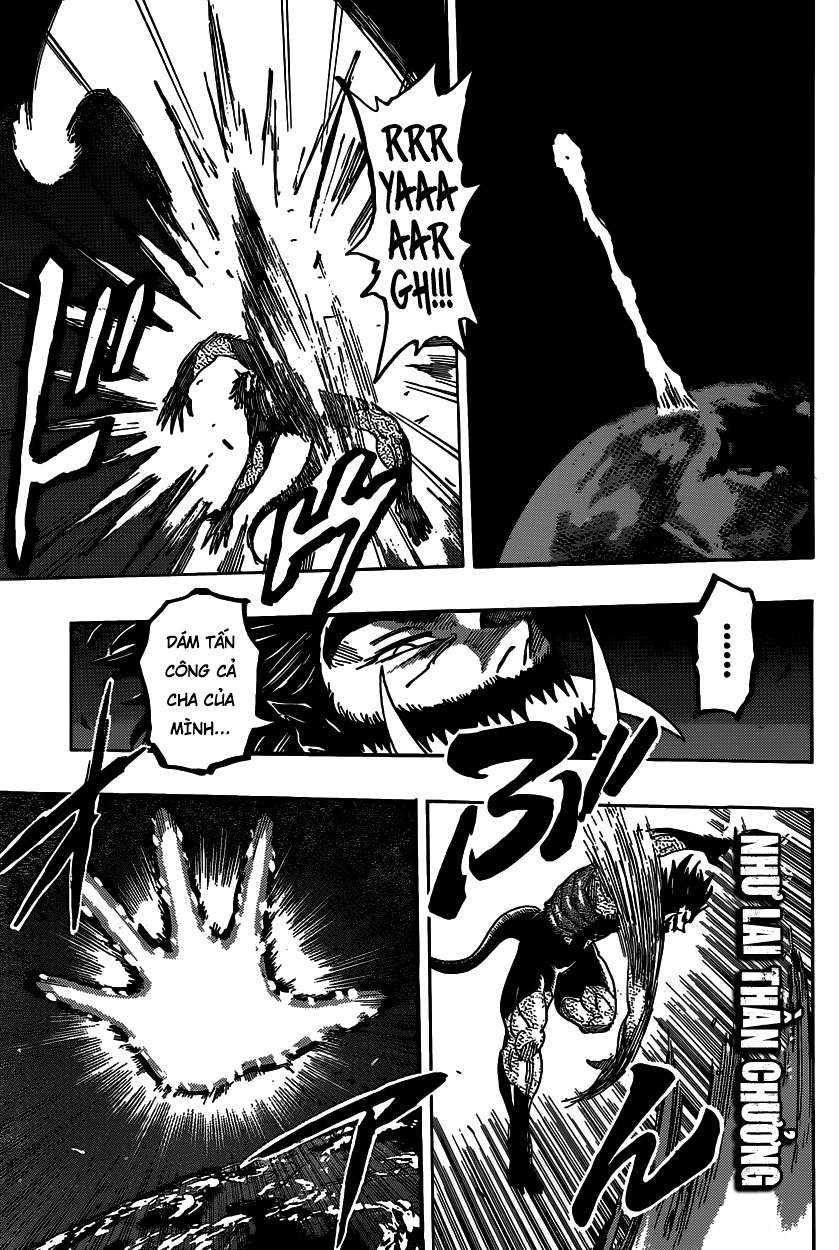 Toriko - Thợ Săn Ẩm Thực Chapter 384 - 14