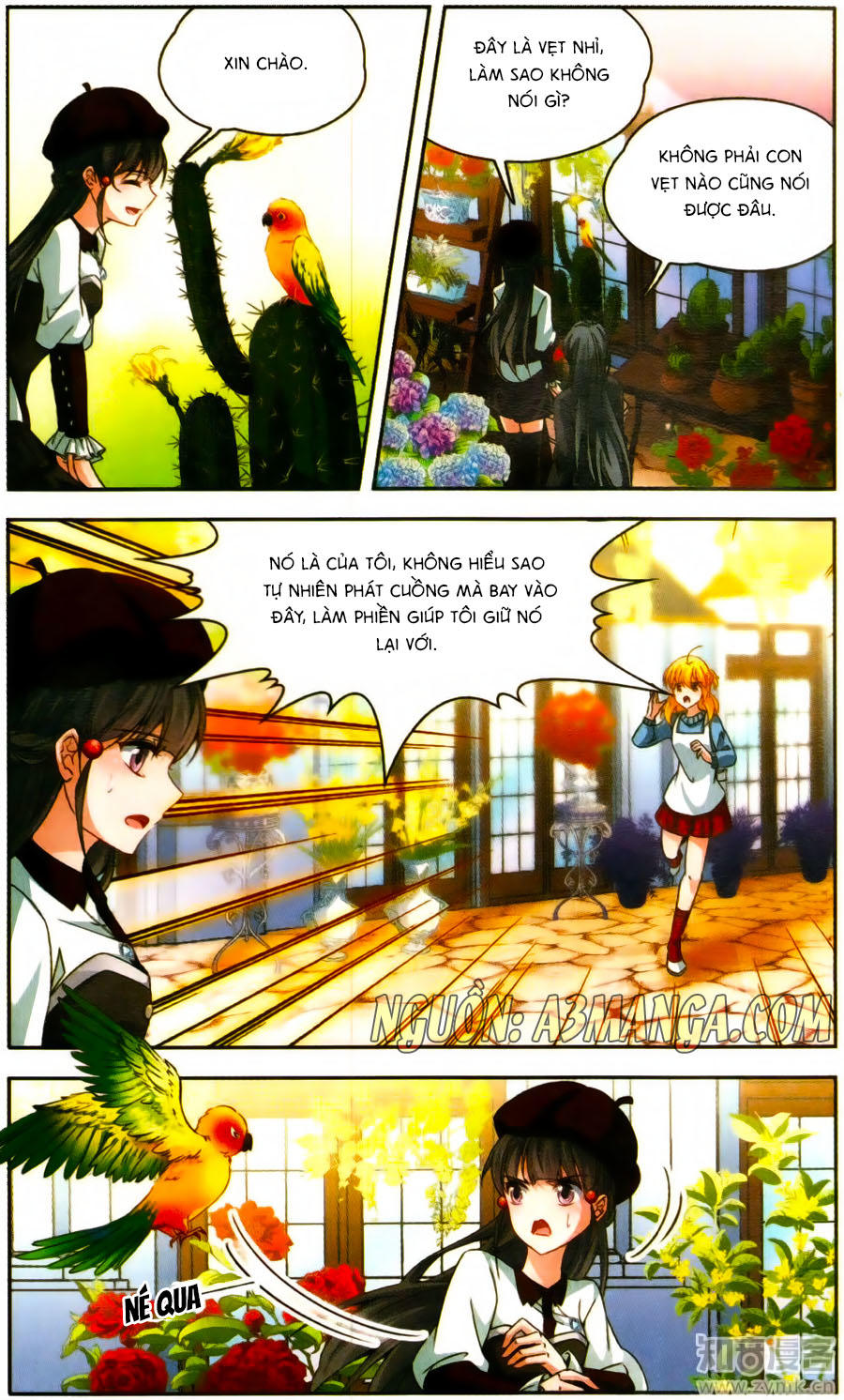 Tầm Trảo Tiền Thế Chi Lữ Chapter 165 - 17