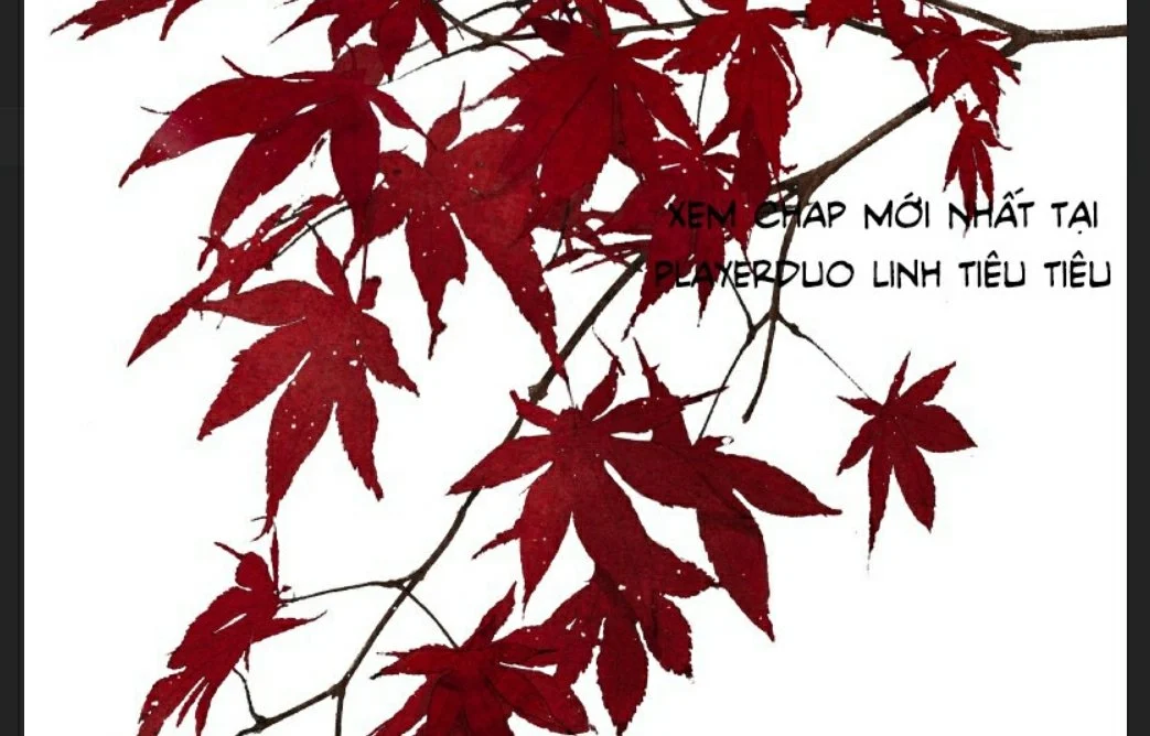 Ta Làm Lớn Ở Hậu Cung 2 Chapter 1 - 24