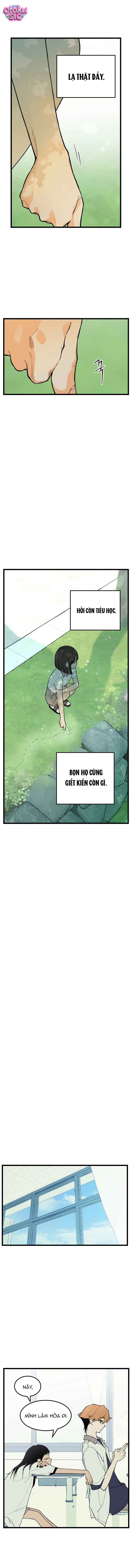 Bóc Trần Sự Thật Chapter  4 - 7