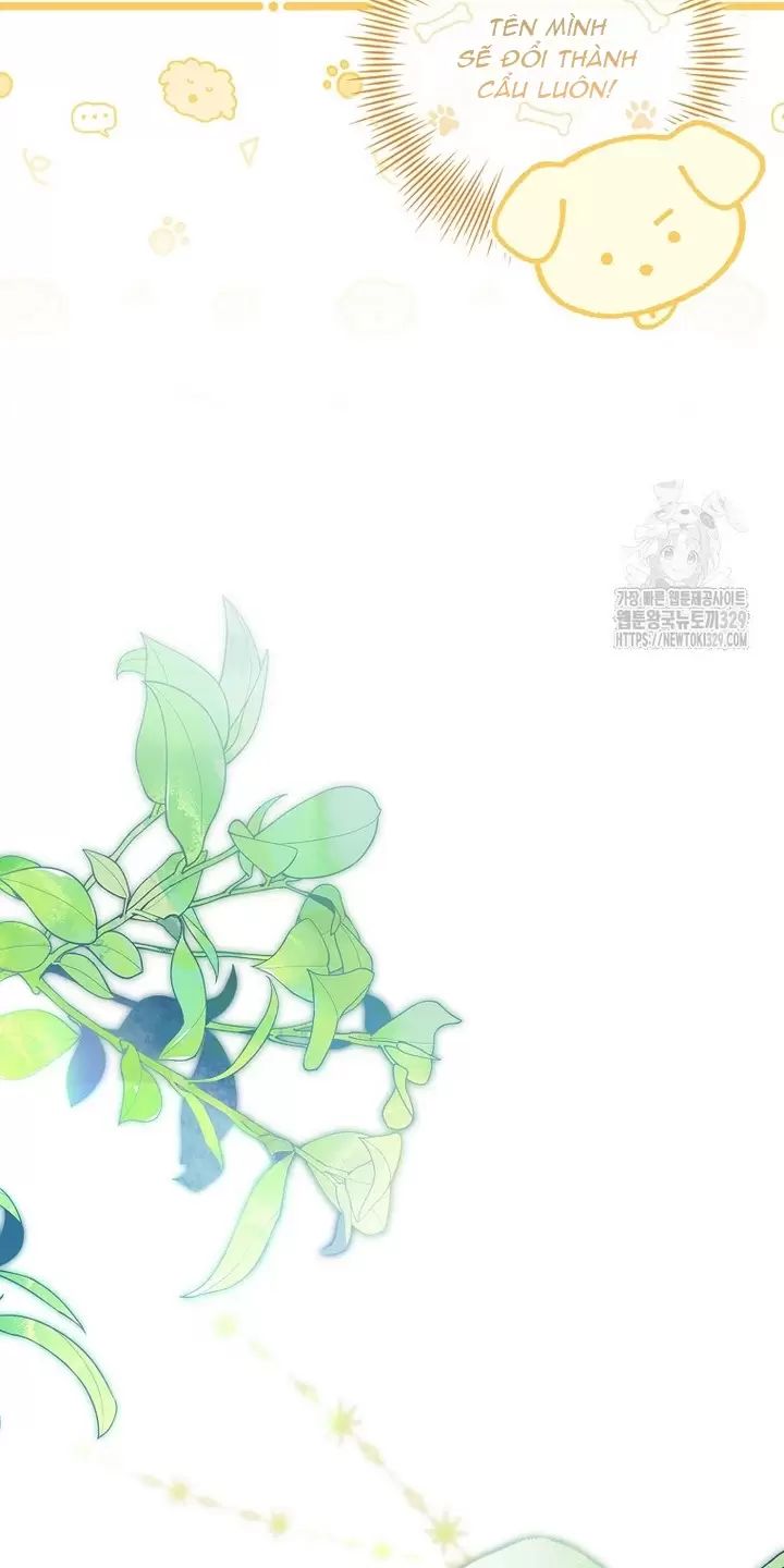 Tôi Phải Mau Chóng Kết Hôn Vì Thời Gian Có Hạn Chapter  31 - 43