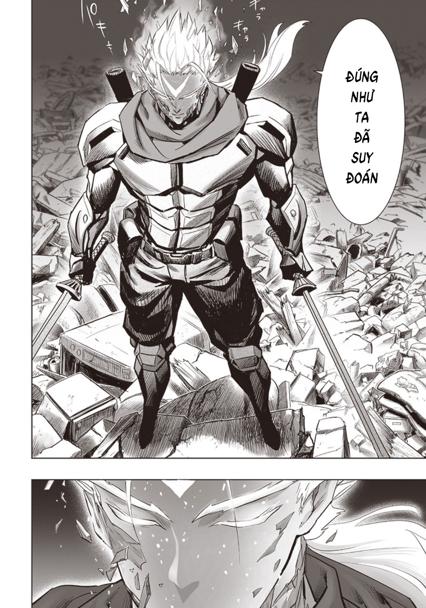 Onepunch Man Chapter  263 - 6