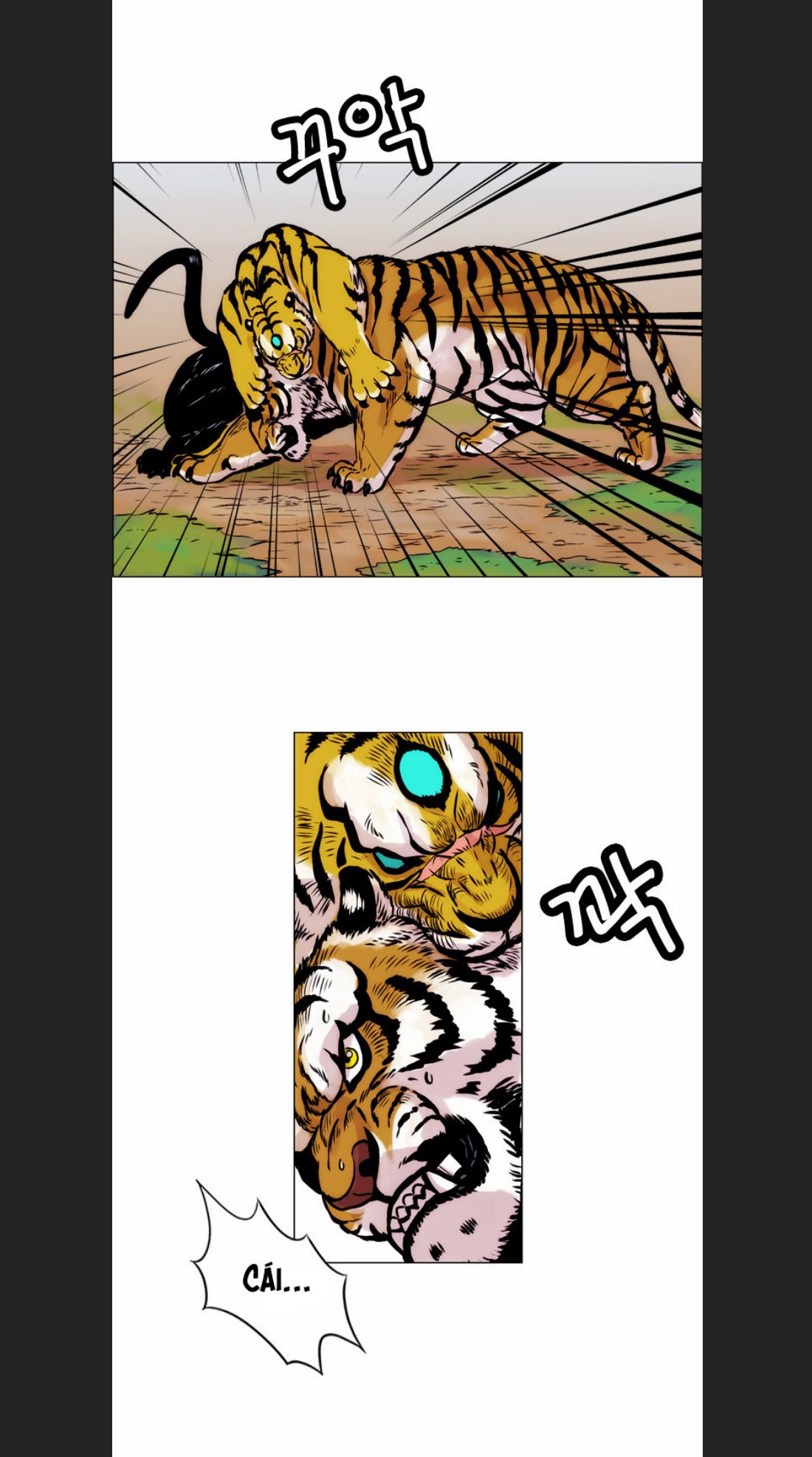 Anh Trai Tôi Là Hổ Chapter  13 - 18