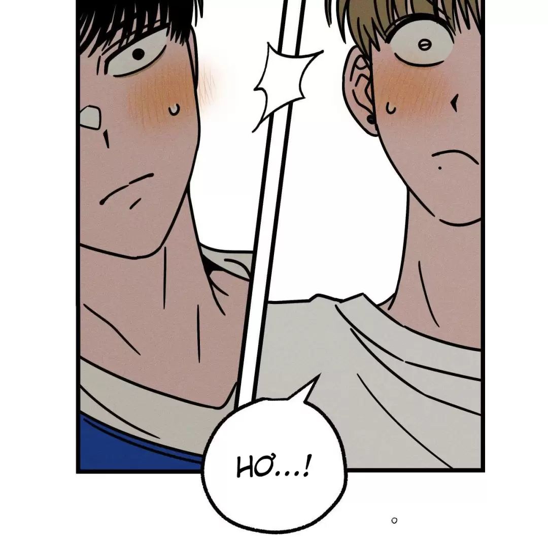 Lời Tỏ Tình Từ Con Số 0 Chapter  25 - 49