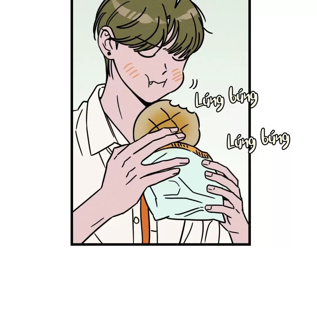 Lời Tỏ Tình Từ Con Số 0 Chapter  26 - 35