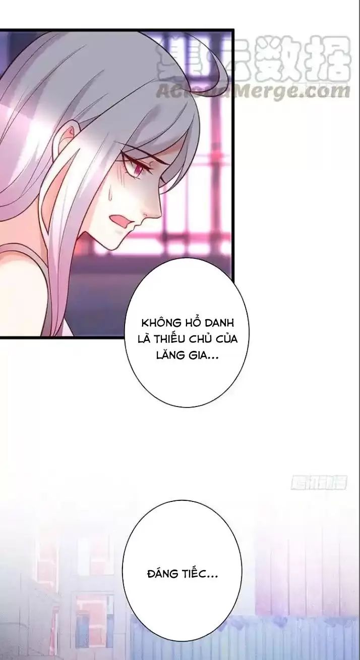 Hắc Đạo Này Có Chút Manh Chapter  168 - 12
