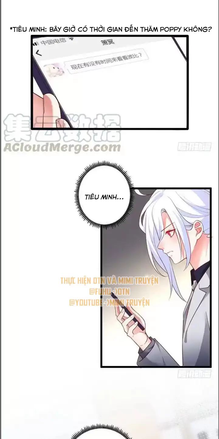 Hắc Đạo Này Có Chút Manh Chapter  175 - 31